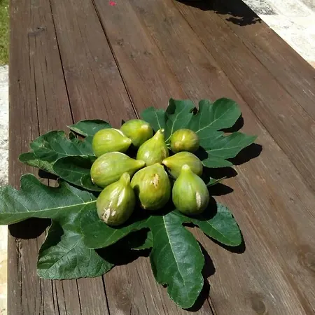 Trulli La Collinetta مارتينا فرانكا