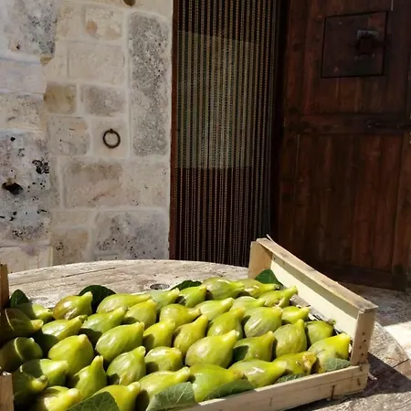 Trulli La Collinetta مارتينا فرانكا