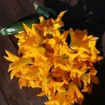 Trulli La Collinetta * Μαρτίνα Φράνκα