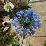 Trulli La Collinetta * Μαρτίνα Φράνκα