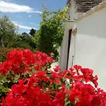 Σπίτι διακοπών Trulli La Collinetta Μαρτίνα Φράνκα
