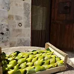 Trulli La Collinetta Martina Franca