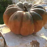 Trulli La Collinetta