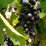 Σπίτι διακοπών Trulli La Collinetta *