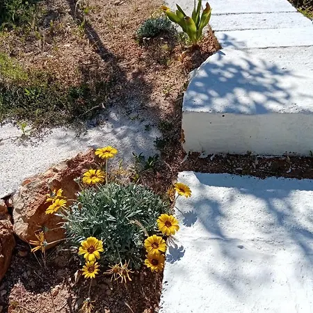 Trulli La Collinetta * Martina Franca