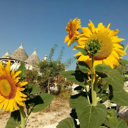 Trulli La Collinetta *