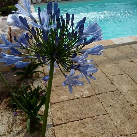 Trulli La Collinetta * 马丁纳弗兰卡