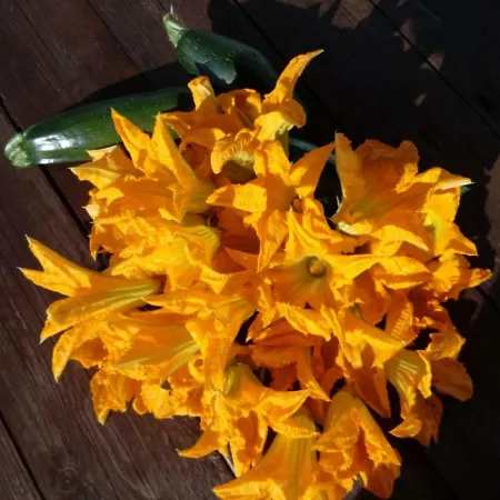 Trulli La Collinetta * Martina Franca