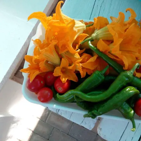 Trulli La Collinetta Vakantiehuis