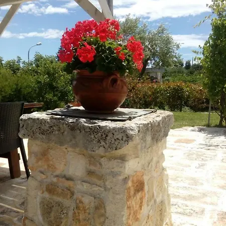 Trulli La Collinetta