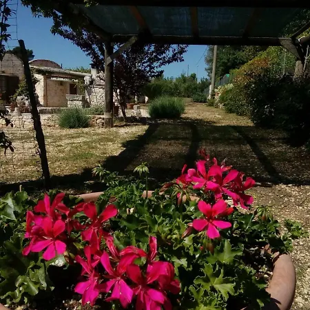 Trulli La Collinetta 度假居 马丁纳弗兰卡