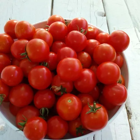 Trulli La Collinetta *