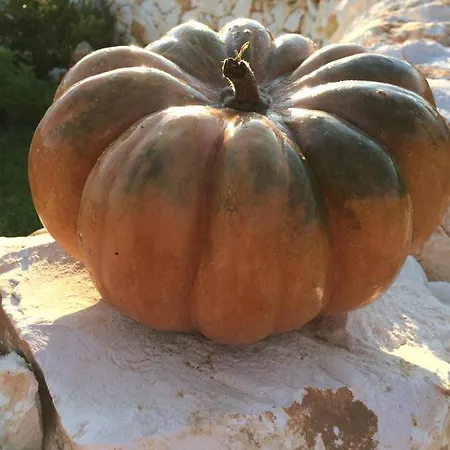 Trulli La Collinetta