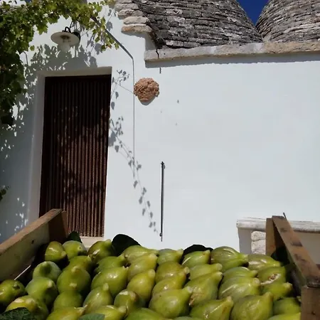 Trulli La Collinetta Tatil Evi Martina Franca