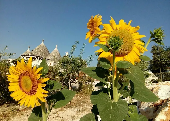 Trulli La Collinetta *