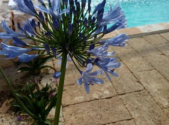 Trulli La Collinetta * מרטינה פרנקה