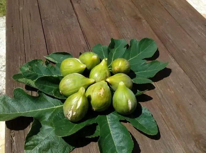 Trulli La Collinetta מרטינה פרנקה