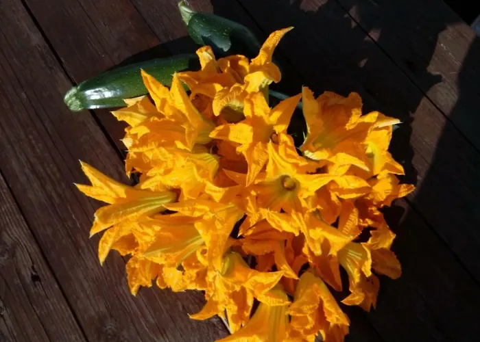 Trulli La Collinetta * Martina Franca