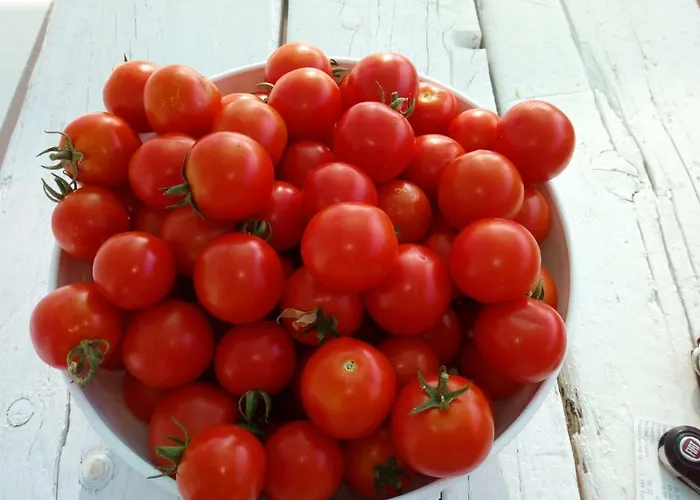 Trulli La Collinetta *