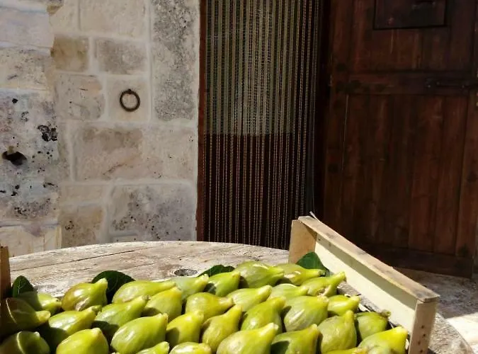 Trulli La Collinetta مارتينا فرانكا