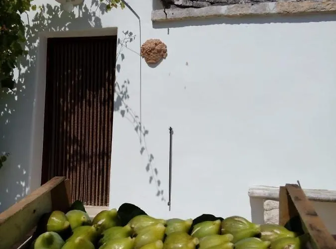 Trulli La Collinetta Semesterbostad Martina Franca