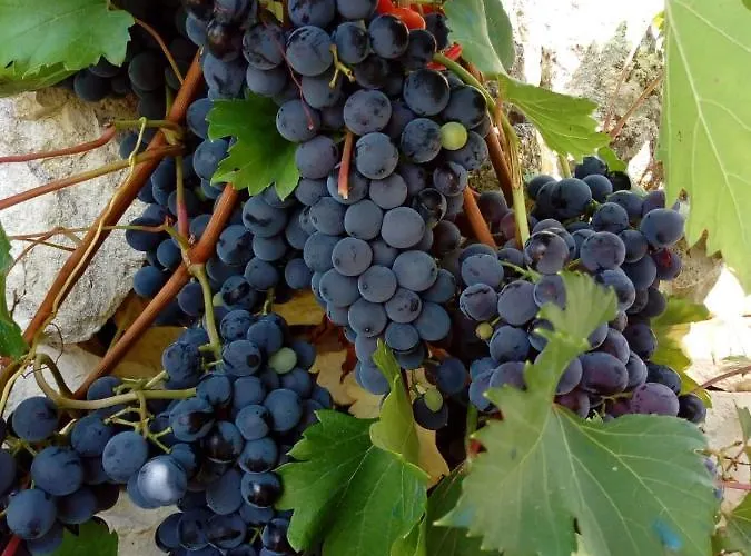 בית נופש Trulli La Collinetta